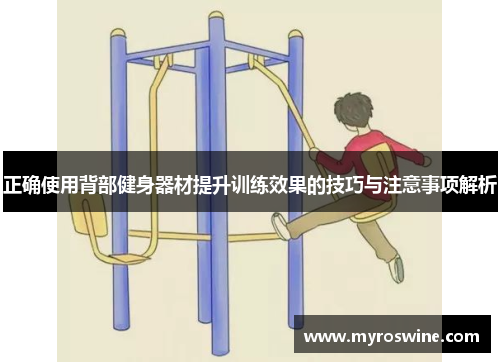 正确使用背部健身器材提升训练效果的技巧与注意事项解析