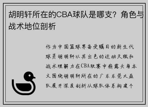胡明轩所在的CBA球队是哪支？角色与战术地位剖析