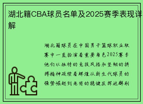 湖北籍CBA球员名单及2025赛季表现详解
